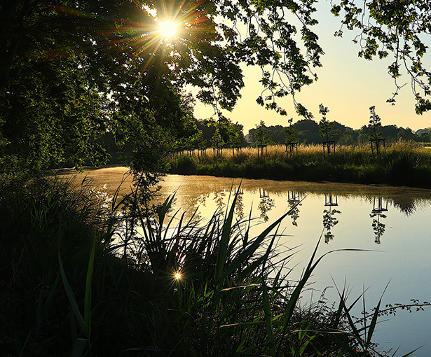 canal_du_midi02