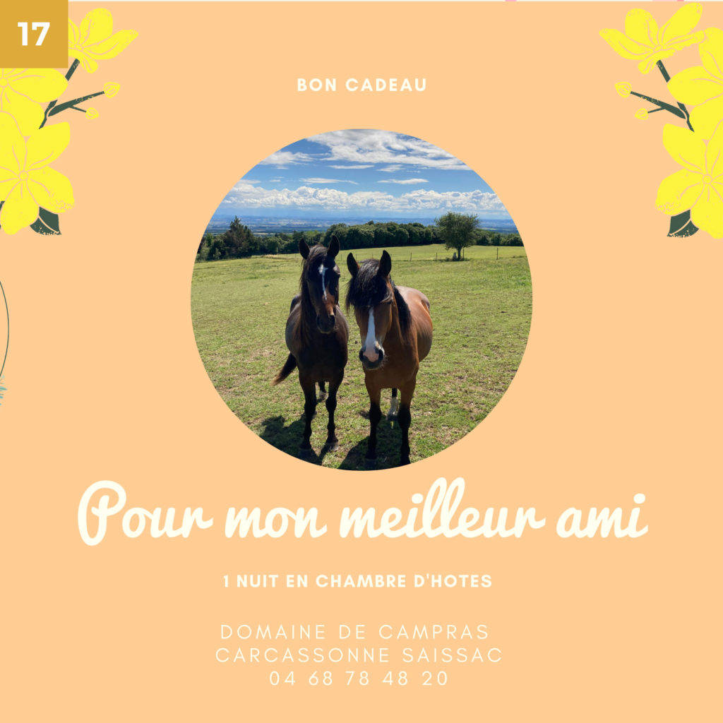 carte17