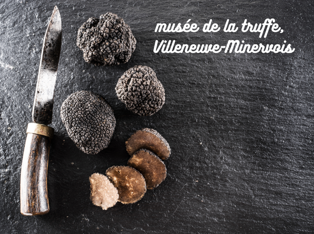 Musée truffe Villeneuve