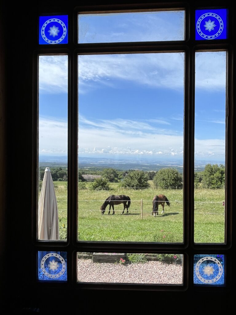 chevaux vue de la roulotte